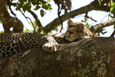 DSC_3989 (Large).JPG